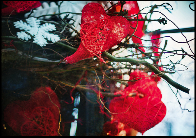 Valentine's Day, Photography, Inspiration