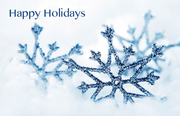 Printed Holiday Greeting Cards from TPI Solutions Ink