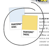 pantone color   chip