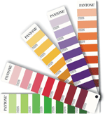 pantone color  guide
