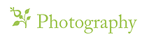 spring-photography