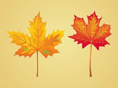 Leaves, vectors ~ tpisolutionsink.com