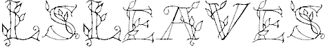 Fall Fonts, Typefaces ~ tpisolutionsink.com