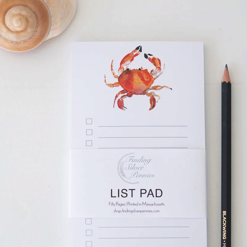 Finding Silver Pennies Notepads