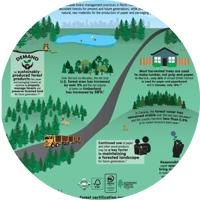 Paper Sustainability and Environmentalism Infographic