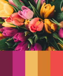 Color Palette of Tulips