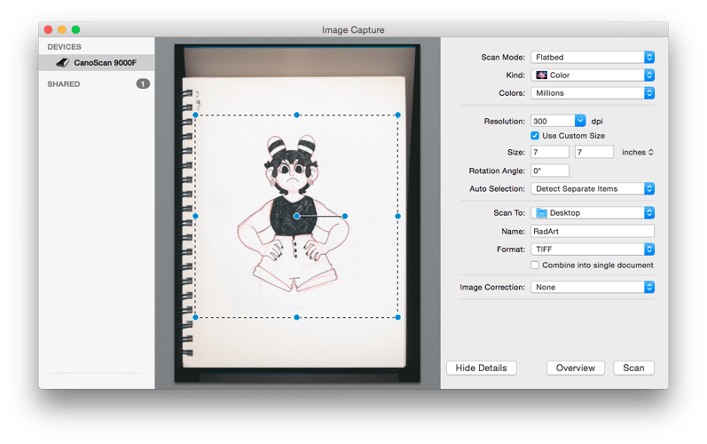 Scanning Tips Traditional Artwork to Digital - tpisolutionsink.com