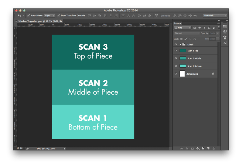 Stitching Scans in Photoshop