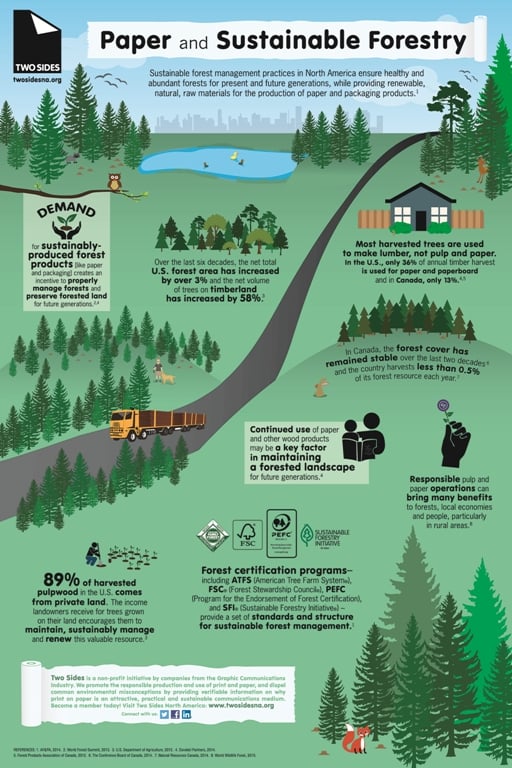 Paper and Sustainable Forestry Infographic