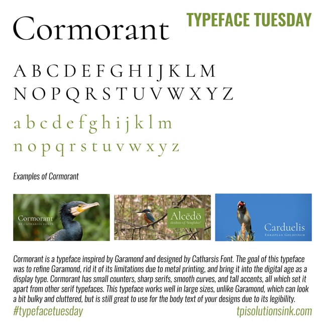 TPI Solutions – Typeface Tuesday – Cormorant