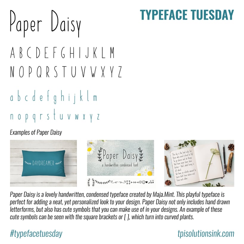 PaperDaisy_TT.png