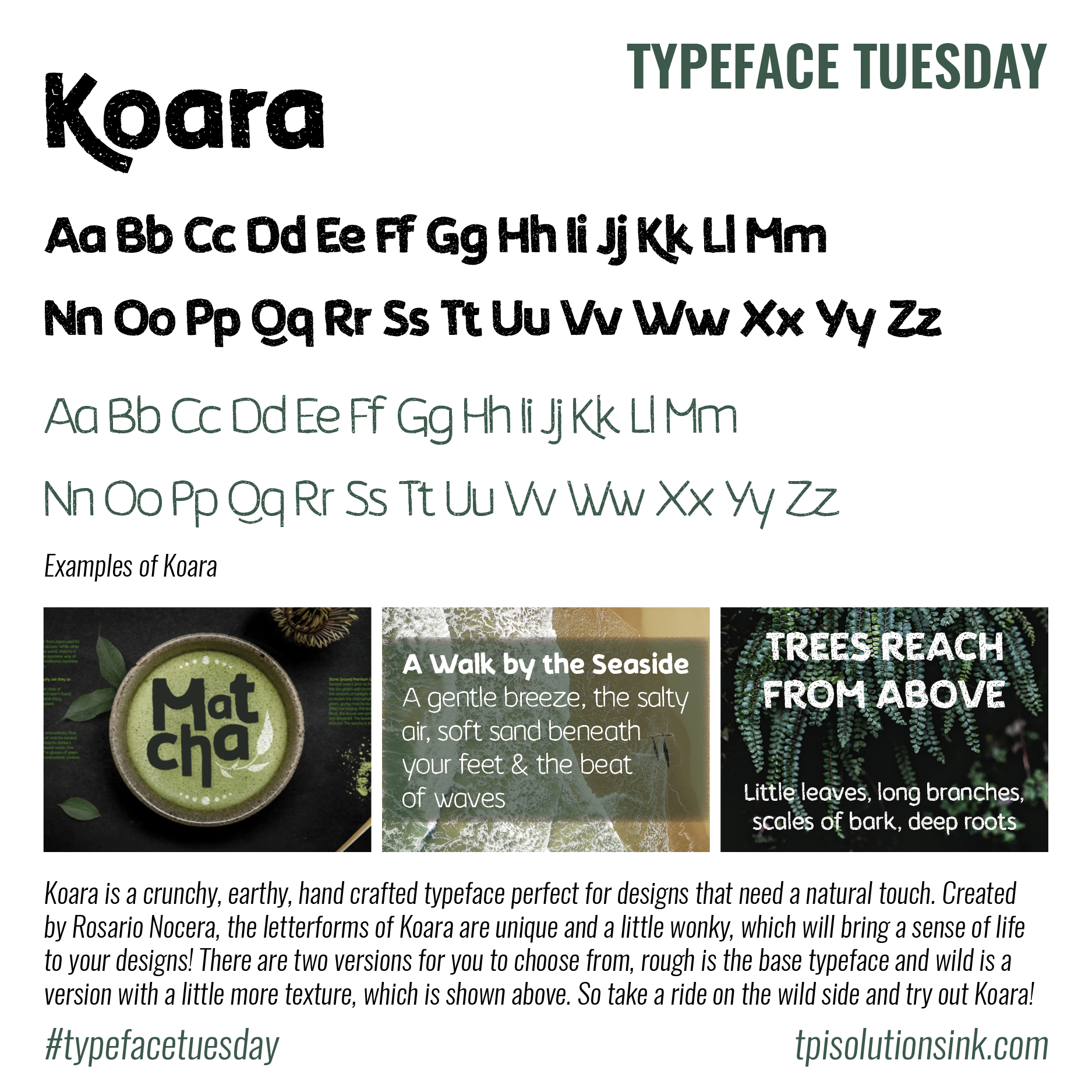 Koara_TT