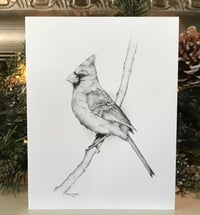 Avery Whitlock Cardinal Note Cards