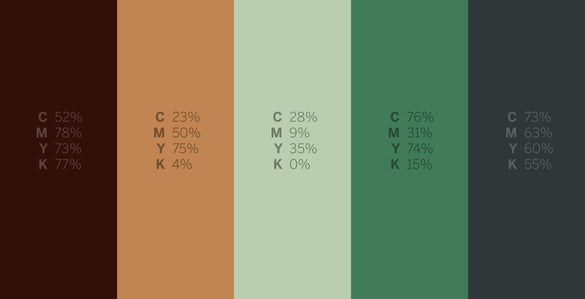 Coral Catshark - #Sharkweek 6 Color Palettes for Graphic Design