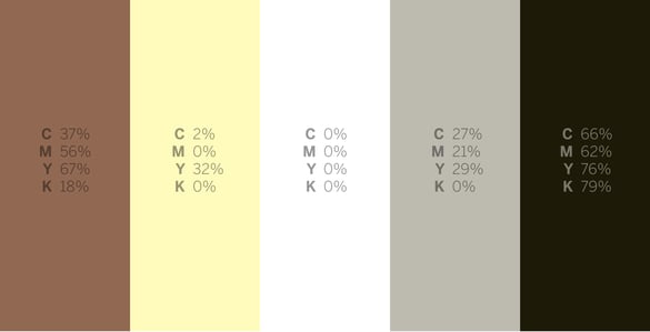 Zebra Shark - #Sharkweek 6 Color Palettes for Graphic Design